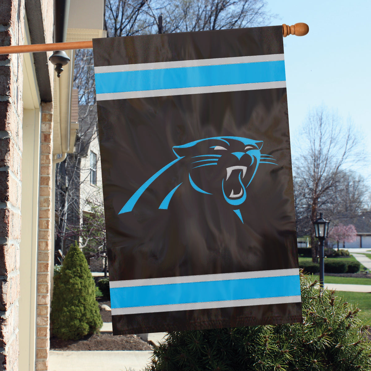 Carolina Panthers Applique Banner Flag