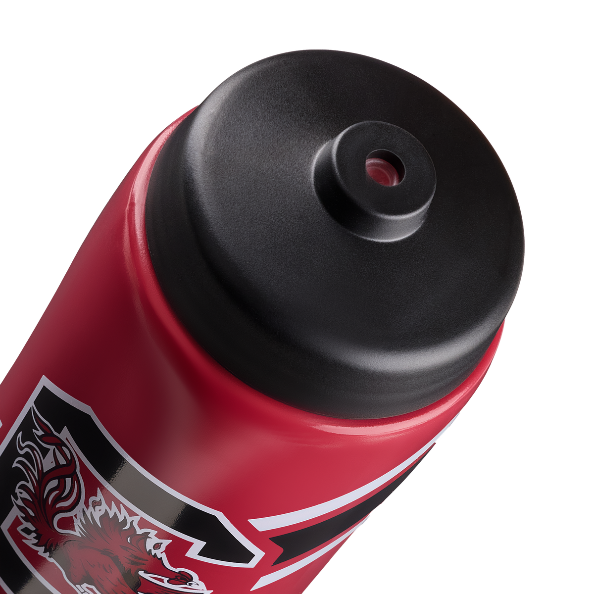 South Carolina Squeezy Water Bottle